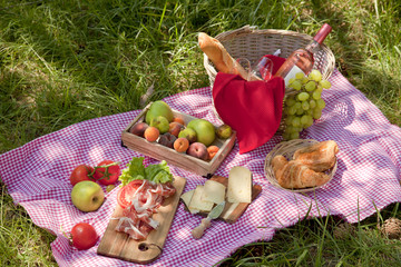 Picnic at the park on the grass: tablecloth, basket, healthy food, rose wine and accessories