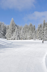 Ski resort slope with skier