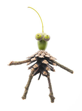 Creature made from natural materials isolated on white