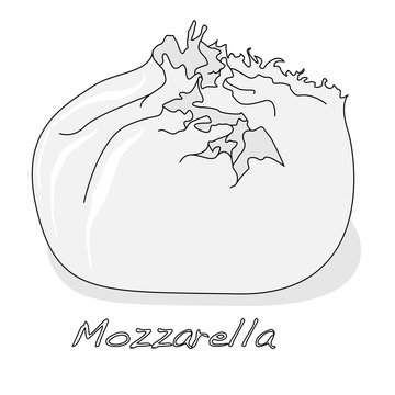 Piece of white mozzarella isolated