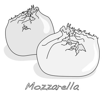 Piece of white mozzarella isolated