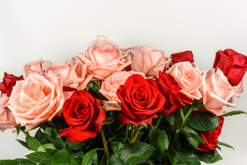 Bouquet of pink and red roses isolated, closeup