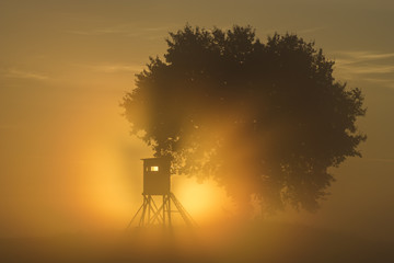 Hunting tower on the field in the misty morning light
