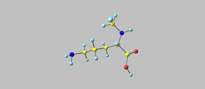 Eflornithine molecular structure isolated on grey
