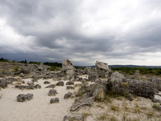 Stone forest valley 50 million years old, Bulgaria
