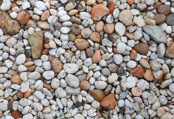 Image of Pebbles background.