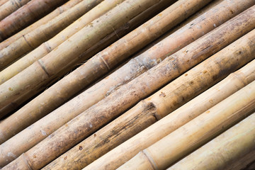 Close up of bamboo wood background texture