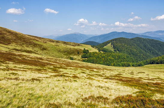 grassy hillsides on mountain ridge