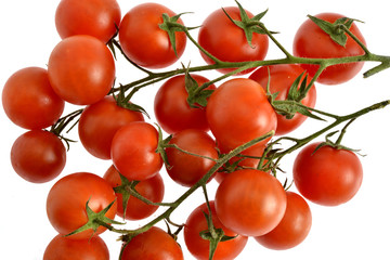 Italy, Sicily, typical tomatoes 