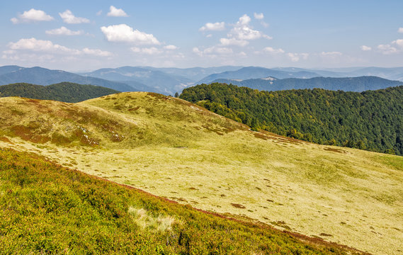 grassy hills of mountain ridge