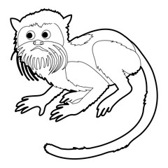 Imperial tamarin icon outline