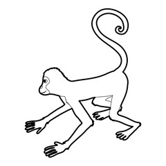 Playful monkey icon outline
