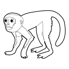 Capuchin icon outline