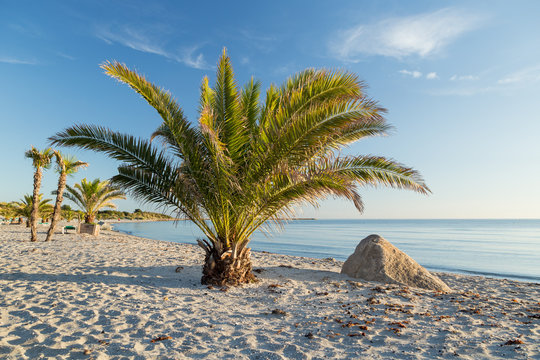 Palmenstrand an der d&auml;nischen K&uuml;ste in Frederikshavn