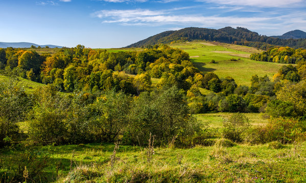 forest and meadow on hills in mountainous countryside