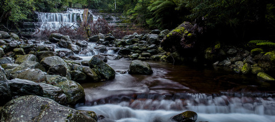 Fototapeta premium Beautiful Liffey Falls in the Midlands Region, Tasmania after heavy rain fall.
