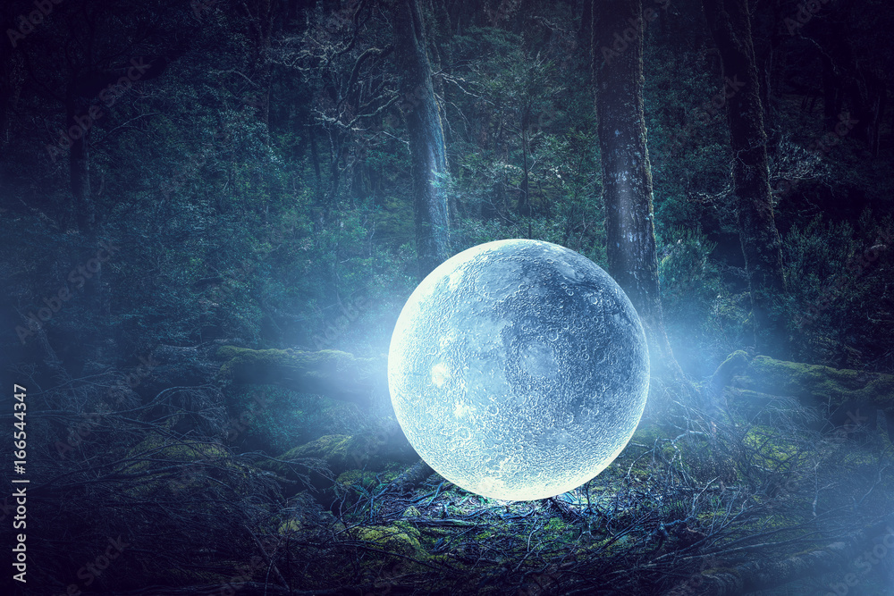 Wall mural it is full moon. mixed media