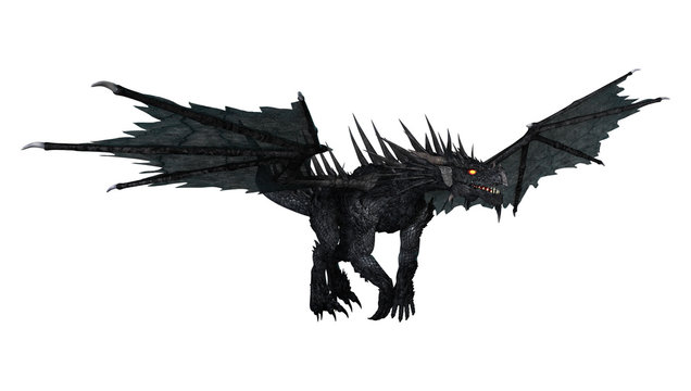 3D Rendering Black Dragon on White