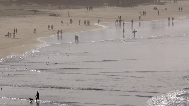 Walking on Beach_C - Contiguous Clips A to C