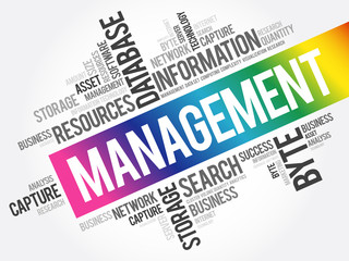Management word cloud collage, business concept background