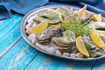 raw oysters with lemon and ice