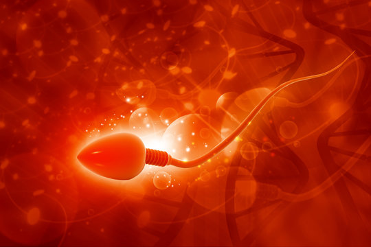Single male sperm cell. 3d illustration