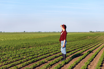 Female farmer standing in a field and examining crop.