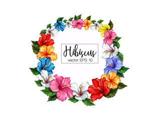 vector realistic hibiscus template isolated