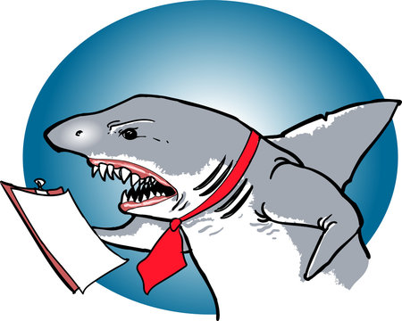 angry shark manager cartoon vector