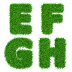 Letters E F G H  isolated on white, ecology concept, 3d illustration.