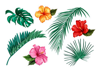 vector tropical leaves and hibiscus flowers set