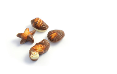 Set of delicious praline chocolate, macro view, closeup. Photo depicting the assortment of Belgian chocolate pralines sweet candies. Seashell, sea star, sea horse.