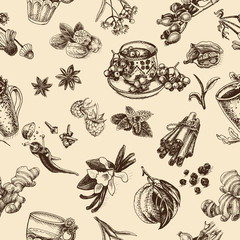 Vector illustration sketch - herbal tea - cup, berry guelder, viburnum, raspberry, rose hip, wild rose, dog rose, linden