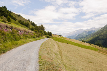 Guarda, Bergdorf, Unterengadin, Engadin, Via Engiadina, Wanderweg, Feldweg, Landwirtschaft, Alpen, Schweizer Berge, Sommer, Schweiz