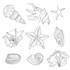 Set of doodle shells isolated on white