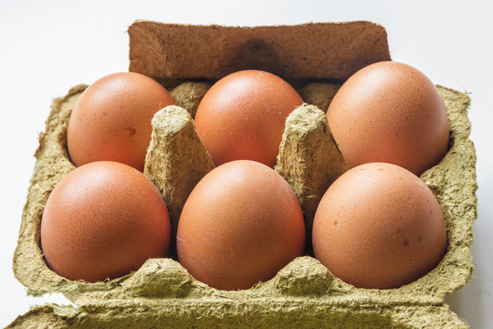 chicken eggs on white background