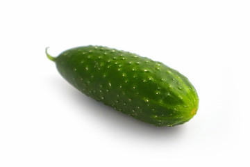 A single fresh natural beautiful green cucumber. Photo depicting a ripe delicious cucumber isolated on a white background with shadow. Close up, macro view.