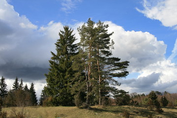 Natur