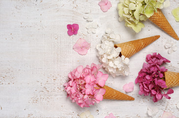 ice cream cones with hydrangea flowers