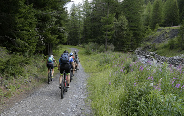 Gita in Mountain bike