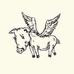 Funny sad piggy with lovely angel wings flying, hand drawn doodle, sketch in pop art style, black and white vector illustration
