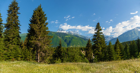 Mountains with green forest landscape