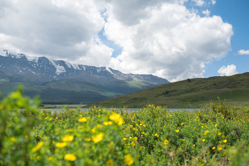 Fototapeta na wymiar Majestic mountain lake in Altay.