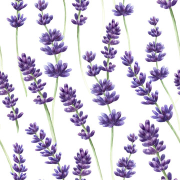 Watercolor hand drawn lavender seamless pattern background