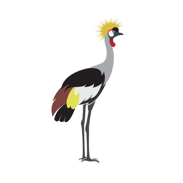 Vector of crowned crane bird design(African Crowned Crane)) on white background. Bird Icon