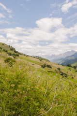 Obraz premium Guarda, Dorf, Engadin, Unterengadin, Wanderweg, Felder, Bergwiesen, Bergblumen, Landwirtschaft, Alpen, Graubünden, Sommer, Schweizer