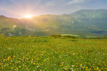 Obraz premium Field in mountains during sunrise. Natural landscape