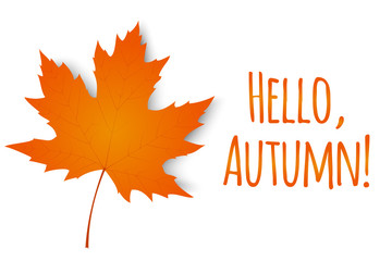 Hello, autumn. Autumn maple leaf isolated on a white background. Vector illustration