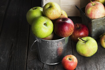 Various ripe apples in metal bucket on a dark wooden background. Toning