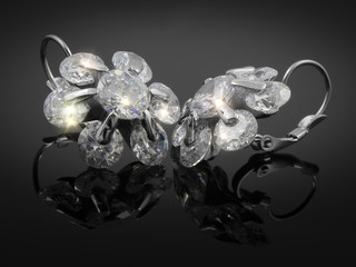 Ladies' Jewelry Earrings - Stainless Steel © jandix2